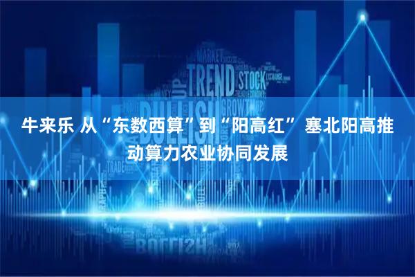 牛来乐 从“东数西算”到“阳高红” 塞北阳高推动算力农业协同发展