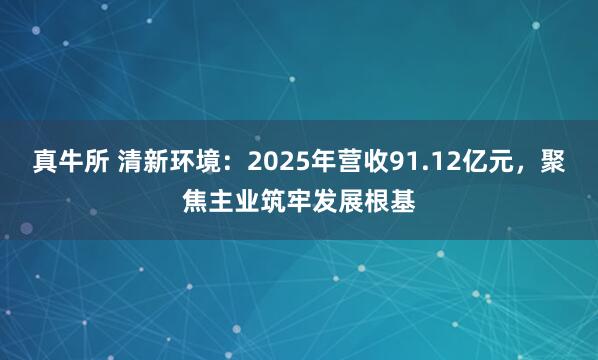 真牛所 清新环境：2025年营收91.12亿元，聚焦主业筑牢发展根基