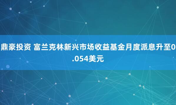 鼎豪投资 富兰克林新兴市场收益基金月度派息升至0.054美元