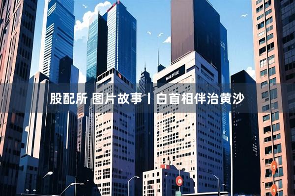股配所 图片故事丨白首相伴治黄沙