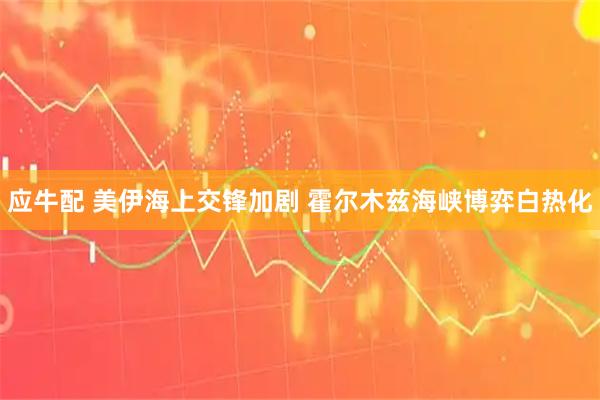 应牛配 美伊海上交锋加剧 霍尔木兹海峡博弈白热化